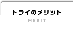 �g���C�̃����b�g MERIT